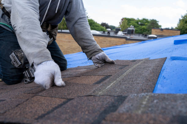 Best Storm Damage Roof Repair  in Mason, TN